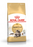 Royal Canin Feline Adult Maine Coon Cat Dry Food 4kg