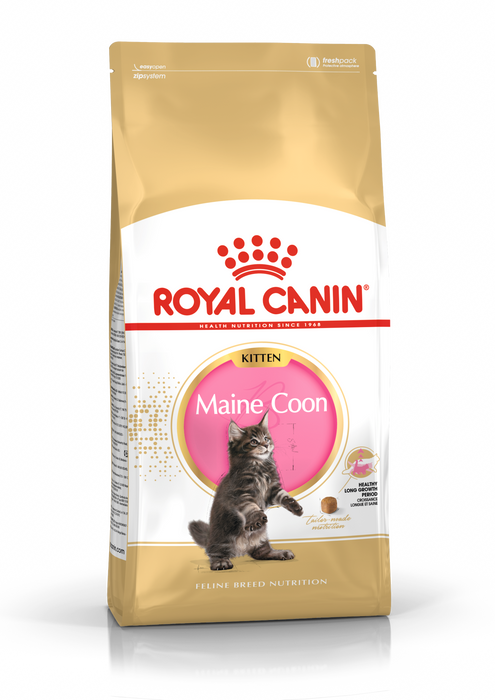 Royal Canin Feline Kitten Maine Coon Cat Dry Food 400g
