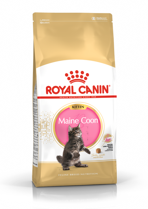Royal Canin Feline Kitten Maine Coon Cat Dry Food 400g