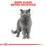 Royal Canin Feline Adult British Shorthair Cat Dry Food 4kg