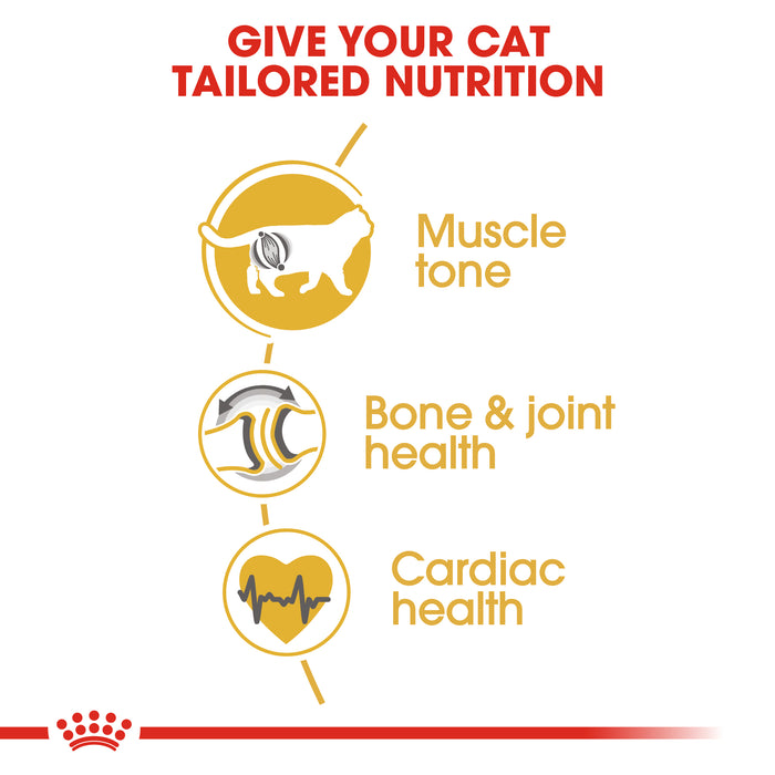 Royal Canin Feline Adult British Shorthair Cat Dry & Wet Food