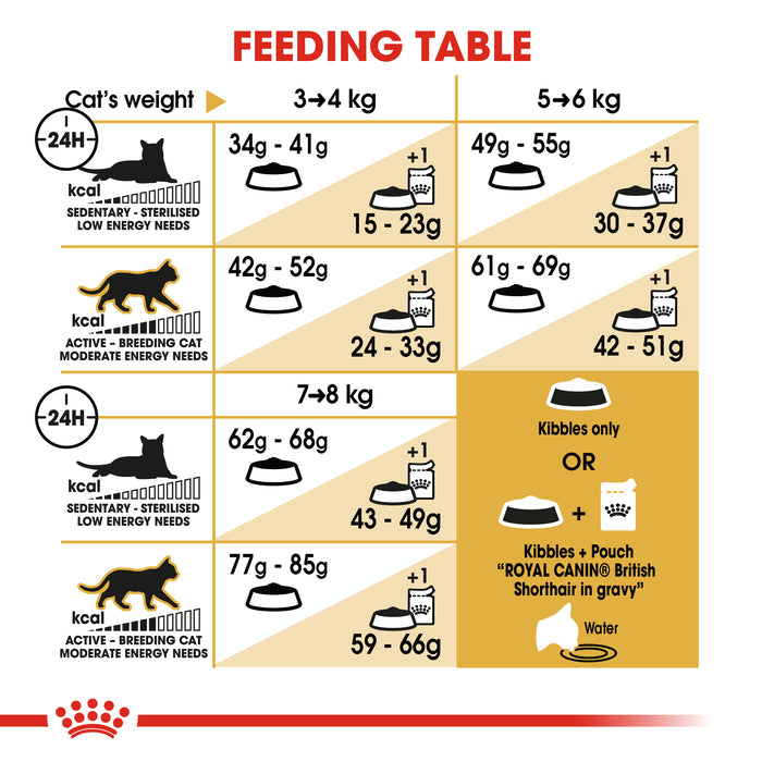 Royal Canin Feline Adult British Shorthair Cat Dry & Wet Food