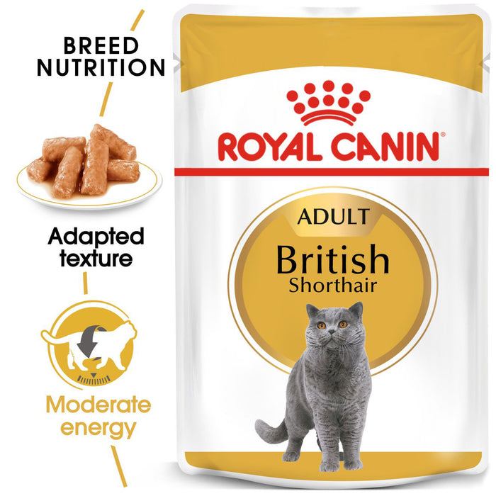 Royal Canin Feline Pouch British Shorthair Adult Cat Wet Food 85g X12