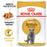 Royal Canin Feline Adult British Shorthair Cat Dry & Wet Food