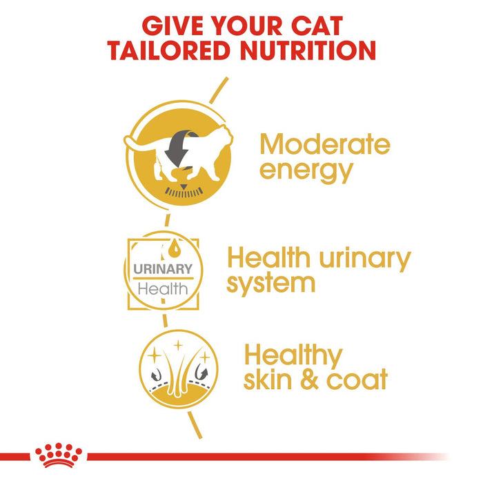 Royal Canin Feline Adult British Shorthair Cat Dry & Wet Food