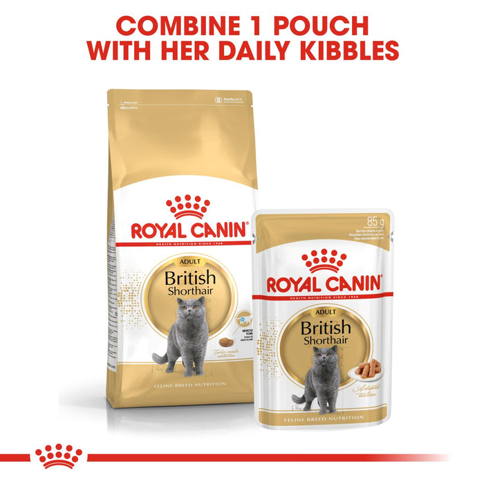 Royal Canin Feline Pouch British Shorthair Adult Cat Wet Food 85g X12