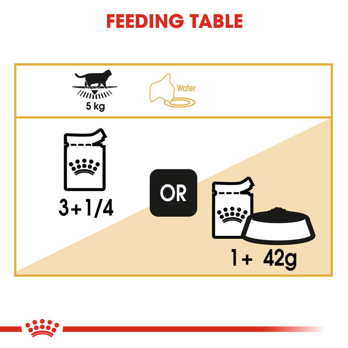 Royal Canin Feline Adult British Shorthair Cat Dry & Wet Food