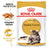 Royal Canin Adult/Kitten Maine Coon (3 Sizes)