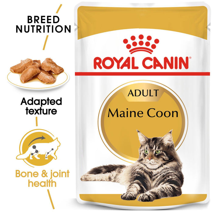 Royal Canin Adult/Kitten Maine Coon (3 Sizes)
