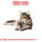 Royal Canin Adult/Kitten Maine Coon (3 Sizes)