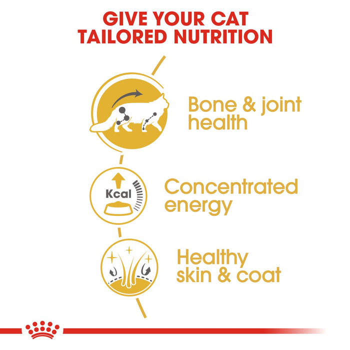 Royal Canin Adult/Kitten Maine Coon (3 Sizes)