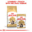 Royal Canin Adult/Kitten Maine Coon (3 Sizes)