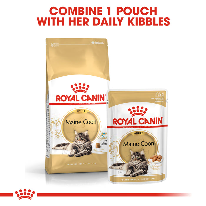 Royal Canin Adult/Kitten Maine Coon (3 Sizes)
