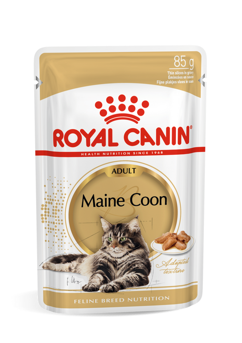 Royal Canin Feline Pouch Maine Coon Adult Cat Wet Food 85g X12