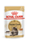 Royal Canin Adult/Kitten Maine Coon (3 Sizes)