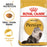 Royal Canin Persian Cat Wet & Dry Food