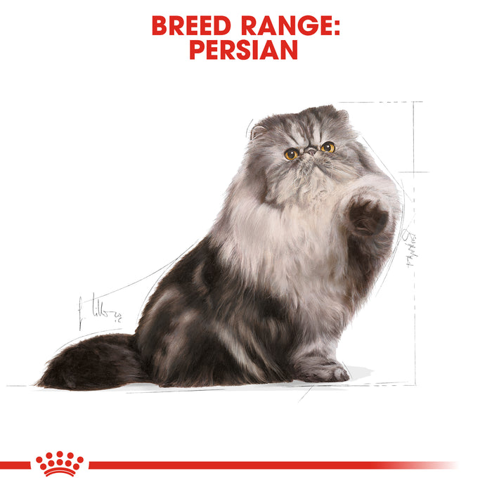Royal Canin Persian Cat Wet & Dry Food