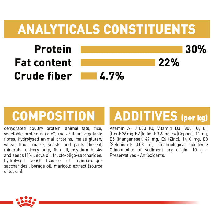 Royal Canin Persian Cat Wet & Dry Food