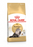 Royal Canin Persian Cat Wet & Dry Food