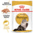 Royal Canin Persian Cat Wet & Dry Food