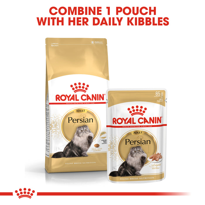 Royal Canin Persian Cat Wet & Dry Food