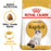Royal Canin Feline Ragdoll Cat Dry Food 2kg