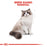 Royal Canin Feline Ragdoll Cat Dry Food 2kg