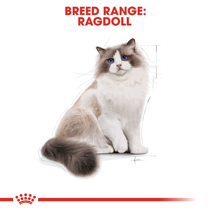 Royal Canin Feline Ragdoll Cat Dry Food 2kg