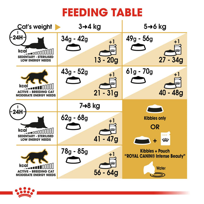 Royal Canin Feline Ragdoll Cat Dry Food 2kg