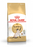 Royal Canin Feline Siamese Cat Dry Food 2kg