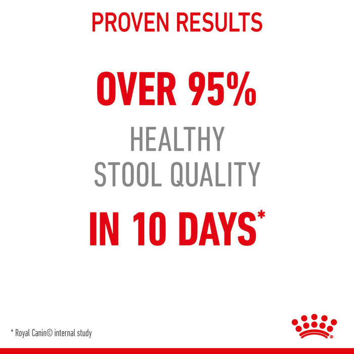 Royal Canin Digestive Care Cat Dry Food (2 Sizes)