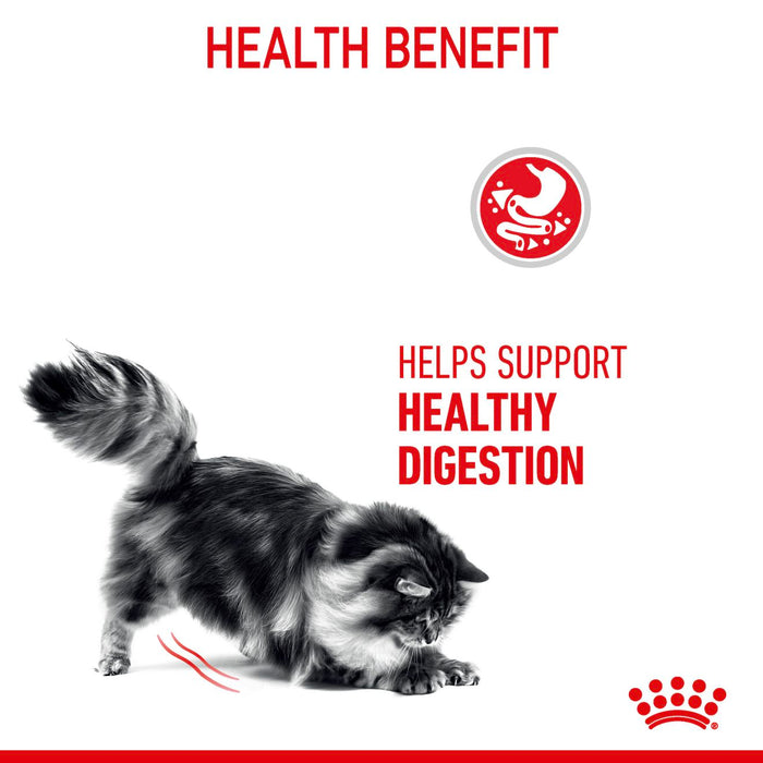 Royal Canin Digestive Care Cat Dry Food 400g