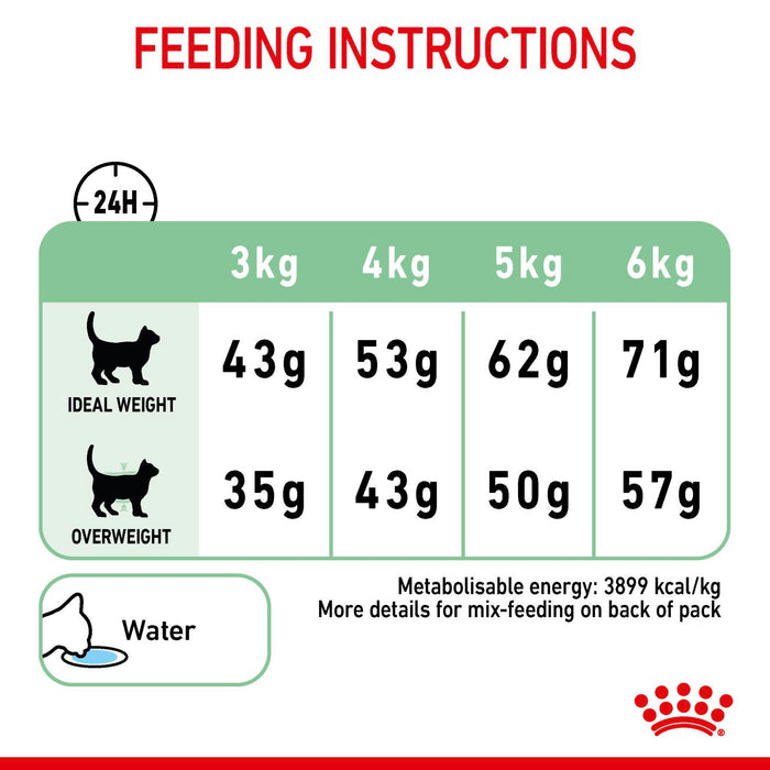Royal Canin Digestive Care Cat Dry Food (2 Sizes)