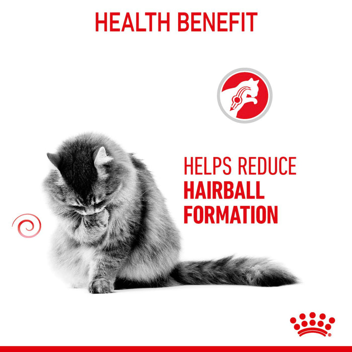 Royal Canin Feline Nutrition Hairball Care Dry Cat Food 10kg