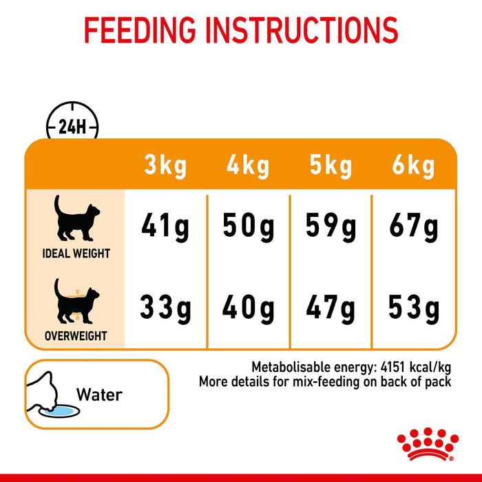 Royal Canin Feline Hair & Skin Care Cat Dry Food (3 Sizes)