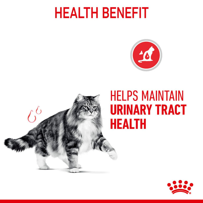 Royal Canin Feline Urinary Care Cat Dry Food (3 Sizes)