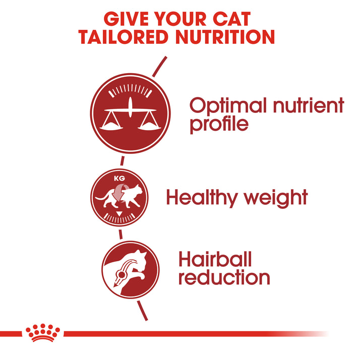 Royal Canin Feline Fit 32 Cat Dry Food 400g
