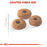 Royal Canin Feline Fit 32 Cat Dry Food 400g