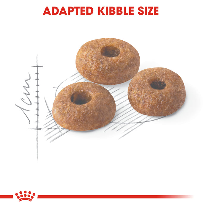 Royal Canin Feline Fit 32 Cat Dry Food 400g