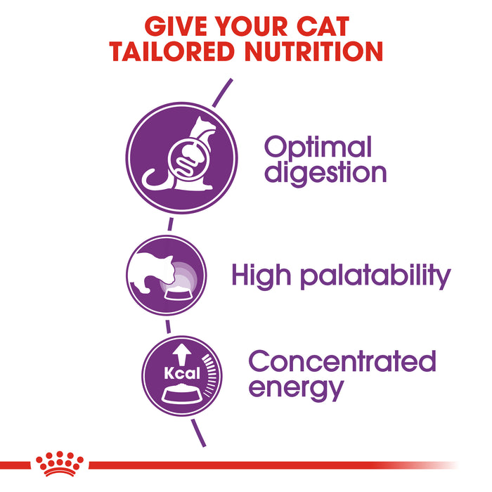 Royal Canin Feline Sensible 33 Cat Dry Food 400g
