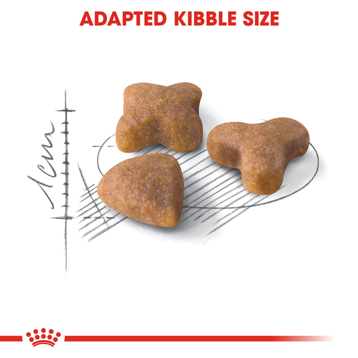 Royal Canin Feline Sensible 33 Cat Dry Food 400g