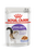 Royal Canin Feline Pouch Sterilised Cat Wet Food in Jelly 85g X12