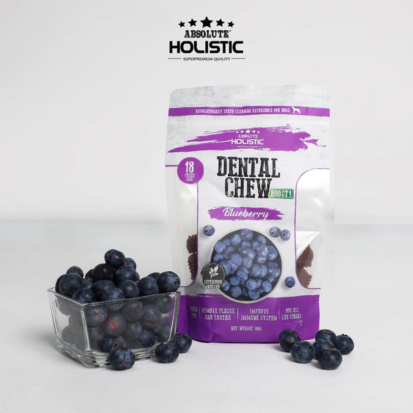 Absolute Holistic Value Pack BOOST Blueberry Dental Chews for Dogs 160g