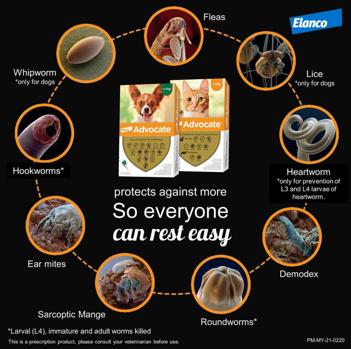Elanco Advocate Flea and Heartworm Treatment for Cats (ONE TUBE)