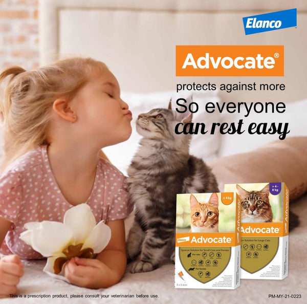 Elanco Advocate Flea and Heartworm Treatment for Cats (ONE TUBE)