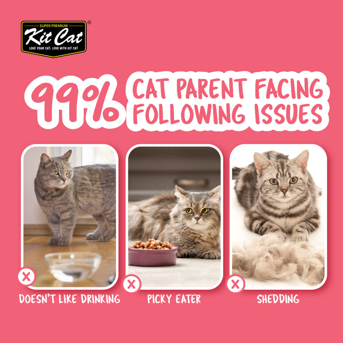 Kit Cat Complete Cuisine Pure Cat Wet Food 70g X 24cans