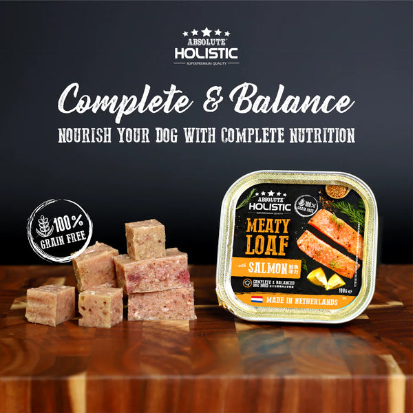 Absolute Holistic Complete & Balanced Meaty Loaf  Salmon Wet Tray Food for Dog 100g X16