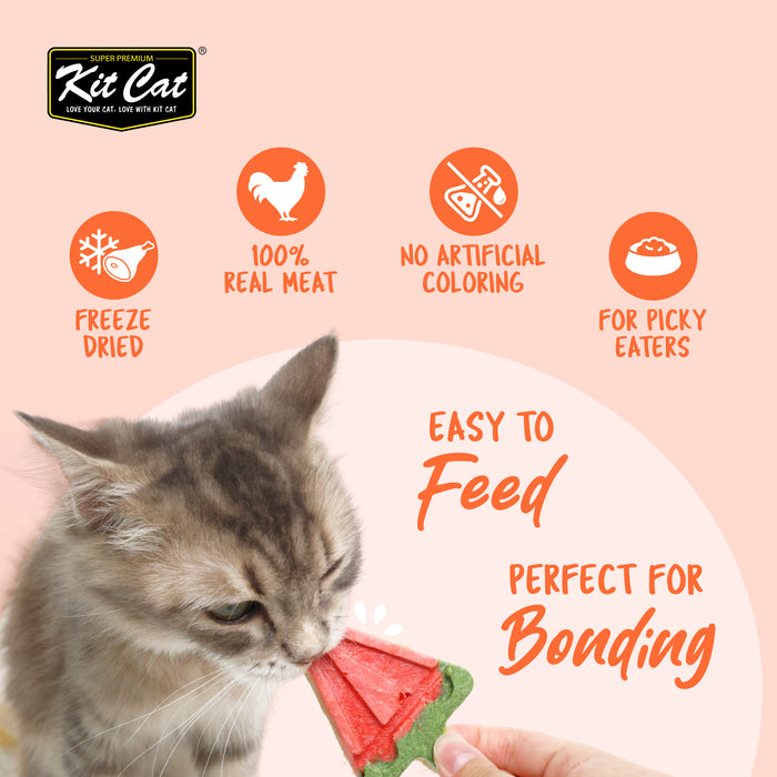 Kit Cat Party Packs Raw Cat Dry Food 30g