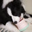 Puzzle Feeder Tumbler Interactive Dog Toy M/L breeds