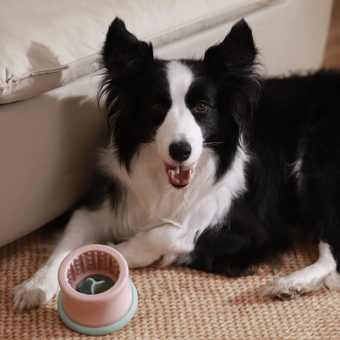Puzzle Feeder Tumbler Interactive Dog Toy M/L breeds